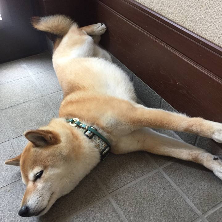 B170ade4 881e 4963 95df a7c80eebfd92 1525148277242