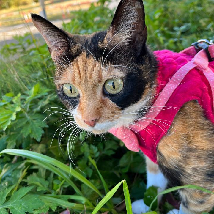 B170af1a a57c 4765 8f47 74759dd6de5f 1666702370438