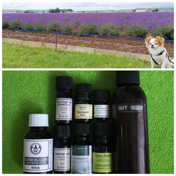 B170cc89 4438 4729 a5ba 785aa2ff5c59 1531882178925