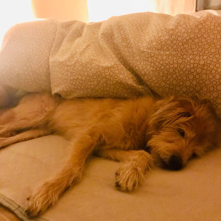 B17147a5 200a 4df9 bdc0 39b497f17793 1603724963293