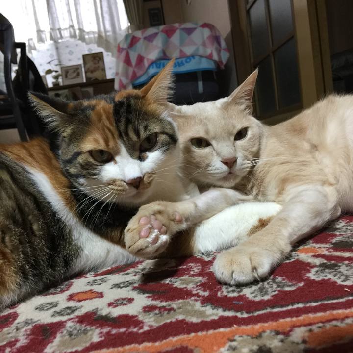 B1716c61 fd6b 4545 8304 901ceed00c50 1673335797865