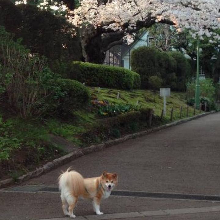 B1717ed2 330a 48aa 81f1 583b22b37572 1554014231768