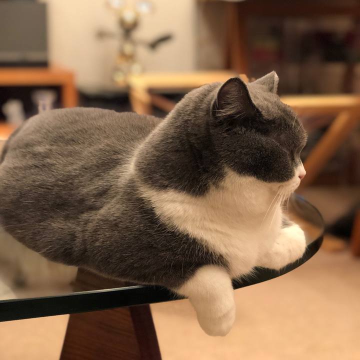 B1719f5b b1ba 4d57 97be a28f3d1ea341 1544317977514