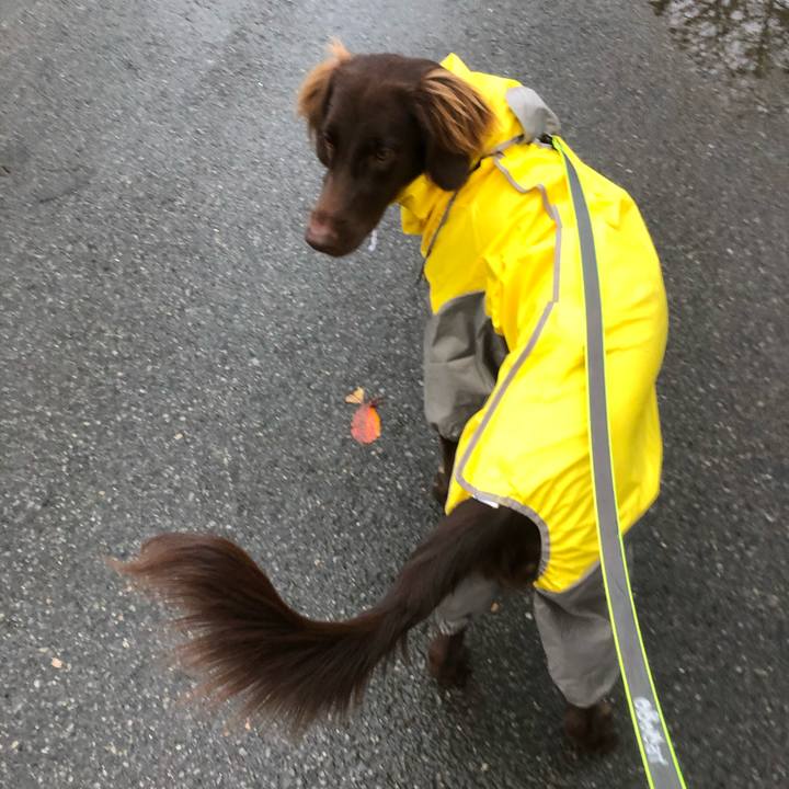 B171a3ab 12eb 4b3d a37c f06c49fb65be 1572344039847