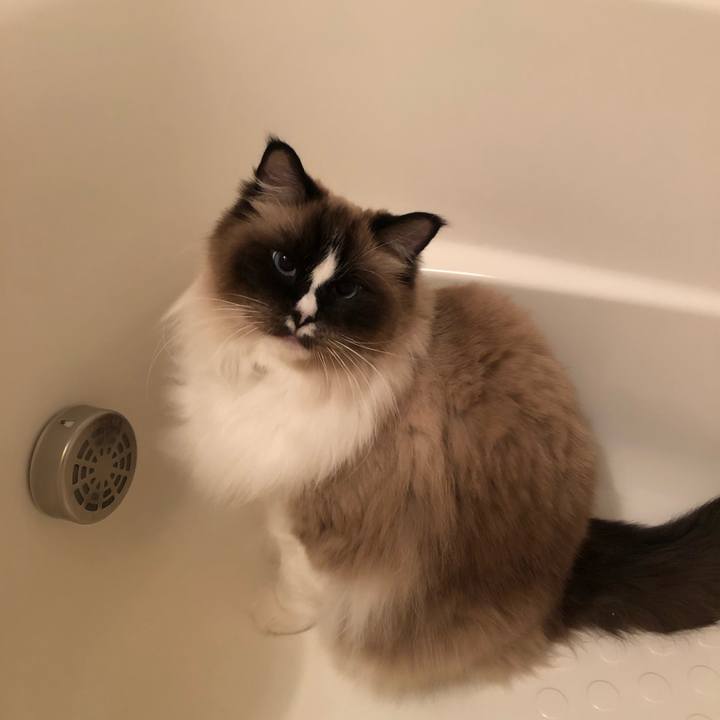 B171a903 e6ef 4ffe 949c 3b3fdaba3a67 1547950623429