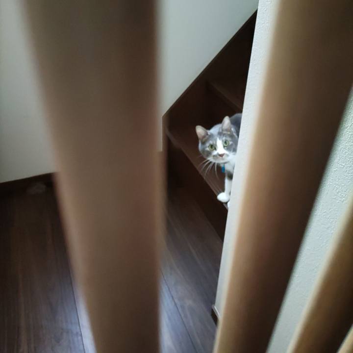 B171ada2 2e18 4a02 98f6 1492333dfae3 1711584069365