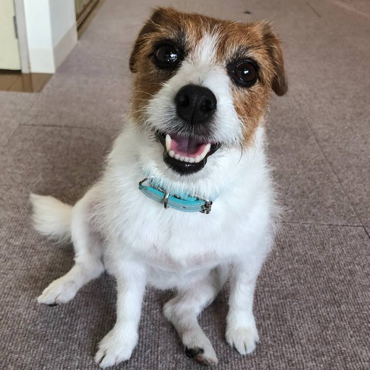 B171b096 1cc0 4907 9b00 3e06b5238bf7 1571720468552