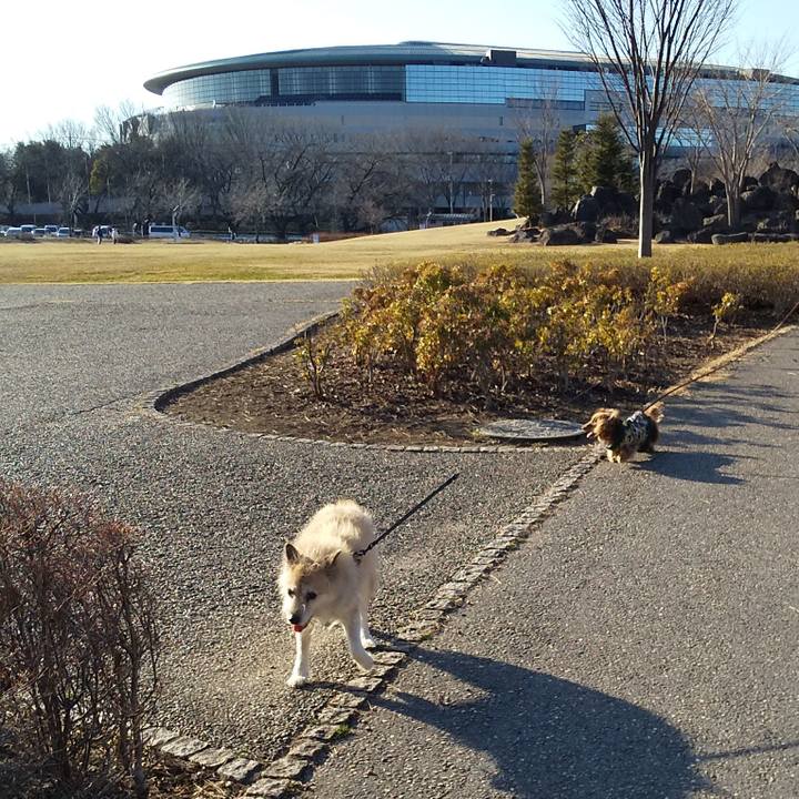 B171d9be 925d 4e0b 9916 b907ea84d4d4 1581408011448