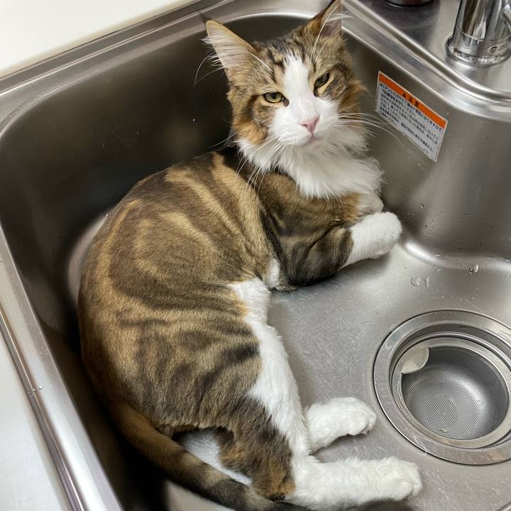 B171eaa6 3cae 4bfa a00f 654f94961008 1659902012312