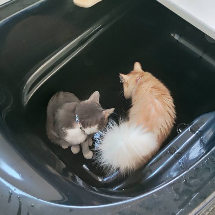 B1722c3c 7bc1 4441 a10d a967fd5f9918 1693537909356