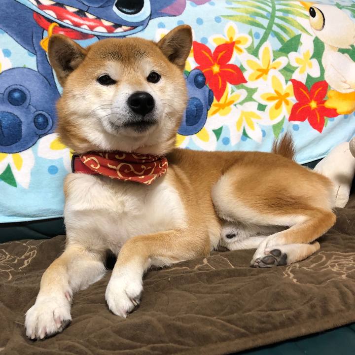 B1723008 a80a 4e9a a862 35823f7e1b72 1543202280688