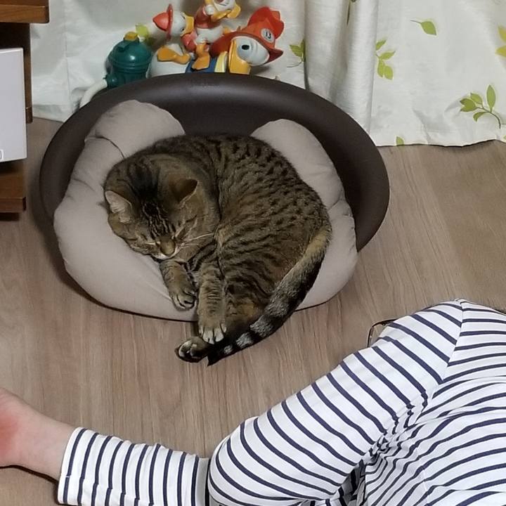 B1724c9e 393b 4c55 b54d 96e6780d084f 1619873424901