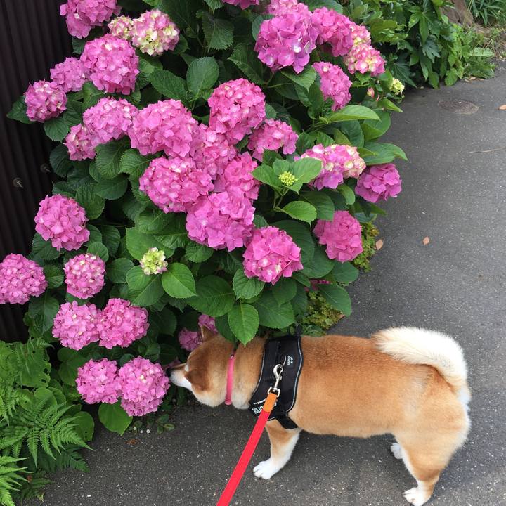 B17267a7 1580 4e62 9b53 f839955b368d 1591399835851