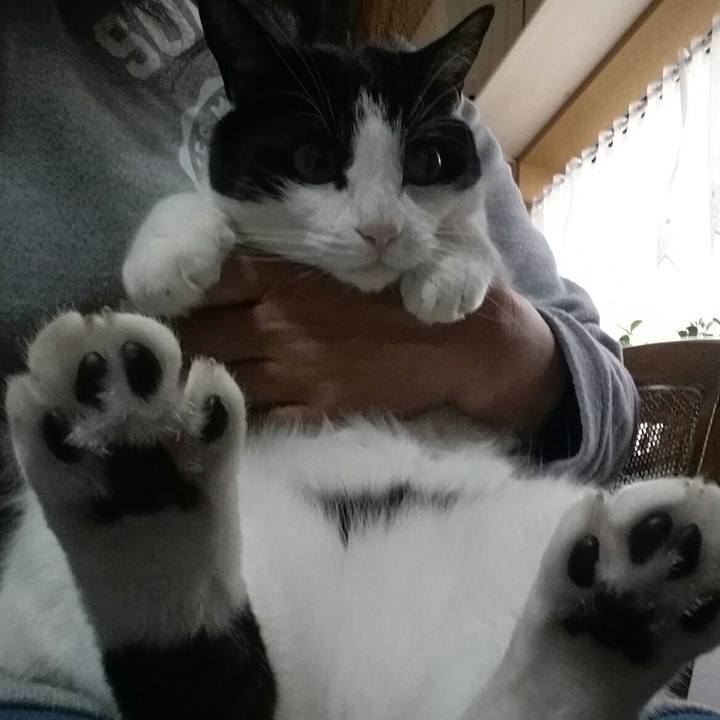 B172c62c 3b50 43ef 8151 1393b1cf82a3 1524784646562