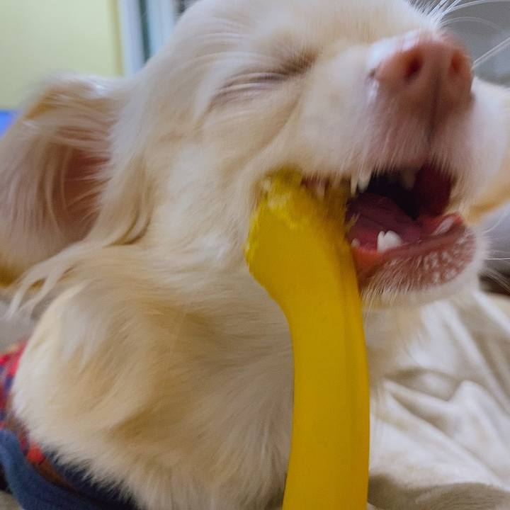 B172cf08 ceab 4b79 a551 68ca5dbbc67e 1610539718615