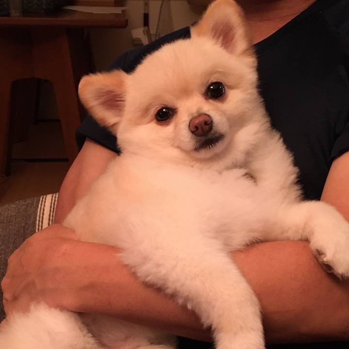 B1733b26 2f47 4685 b73c 9ccca3319f61 1598441735374