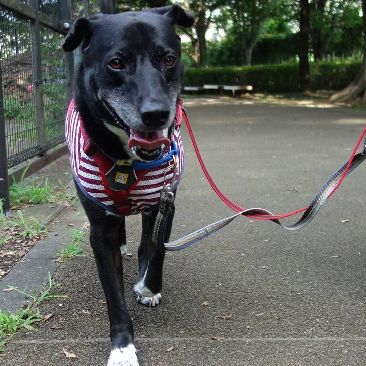 B17383db 53eb 47b8 a0af a6c89c1d1ddf 1688860653308