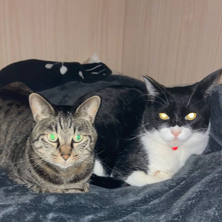 B17387b5 f55a 42bc 9c66 89f8ab76e5b9 1647344051457