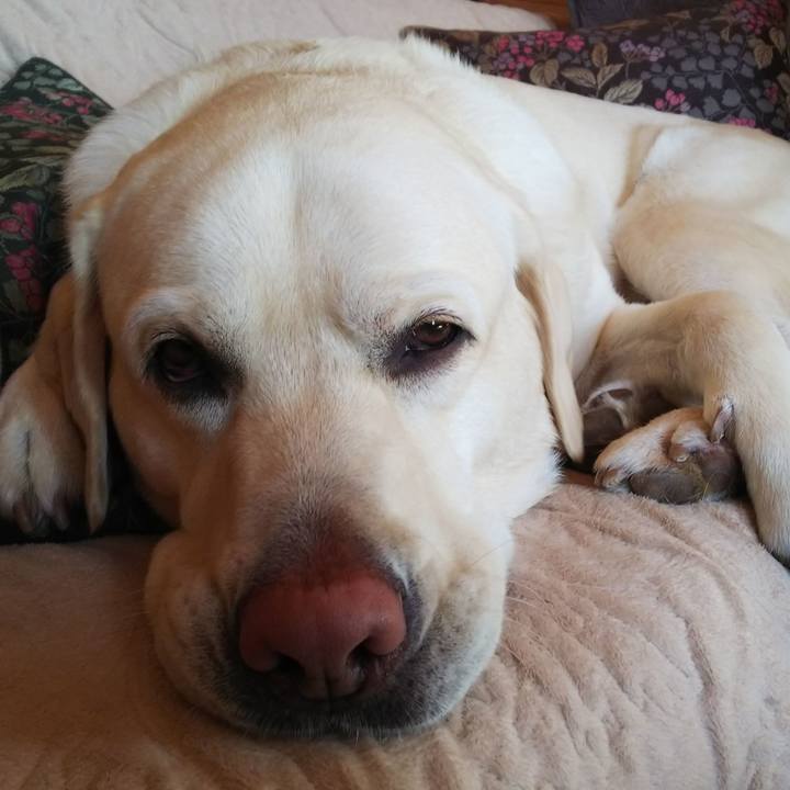 B173a8fe 7900 437e a047 979bb8e73fd7 1575779199035