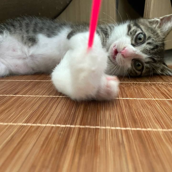 B173b31c 8eea 4130 aee7 38628f4d6f46 1721544642066