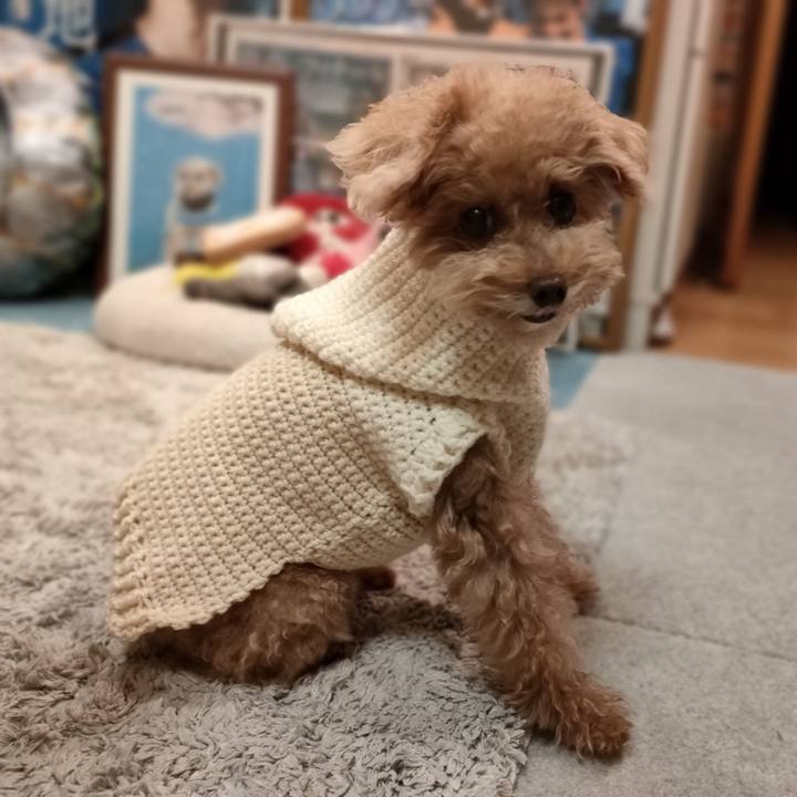 B173b656 605a 4707 9132 d96fb63e5ea5 1633271829981