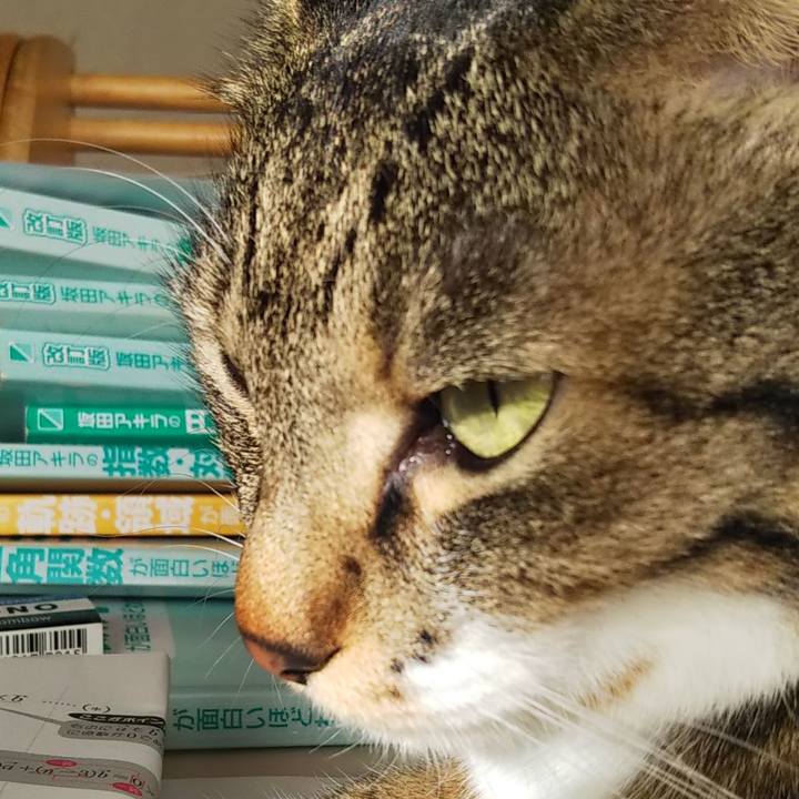 B173b97f 8bc5 42af 81c5 b6775574bec0 1613697641481