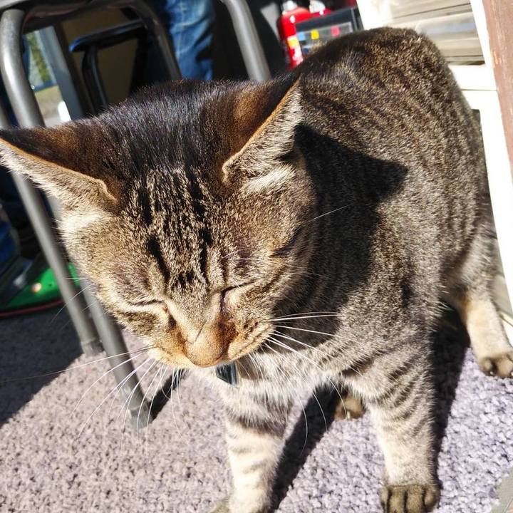 B173d68e 7e79 417a 8b9a f9a2332692b4 1573517730410