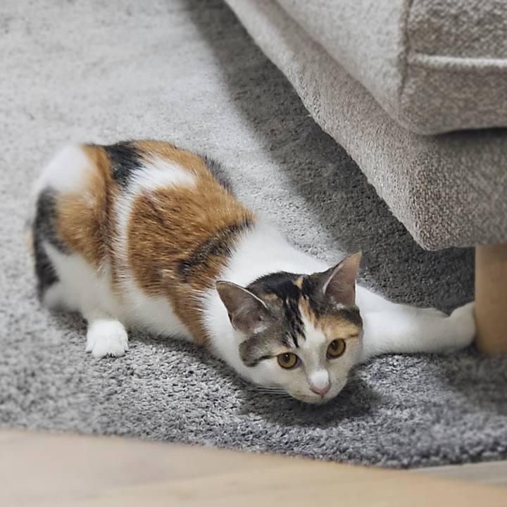 B173fab8 4d56 4224 b3ab b0b7ccb99632 1761616446325