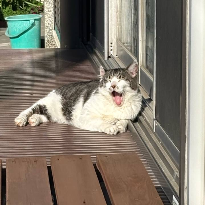 B17409d1 3173 47fb bab6 3046d89a6901 1746076547006