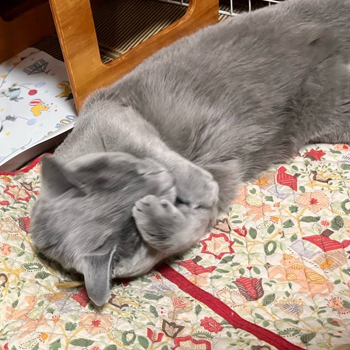 B1741f2c e7a4 4a56 b067 9bbf7ae0f14a 1665879827597