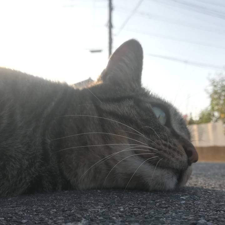 B17422d5 5d83 4320 9b2a 9c5bde279b39 1601625881231