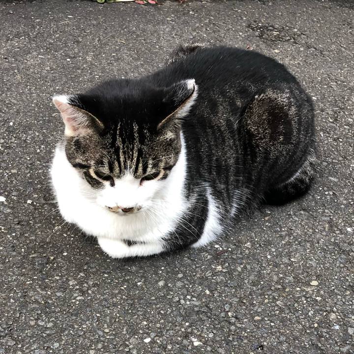 B174373b 49c5 45d7 89b6 4d4afc61141e 1601028624710