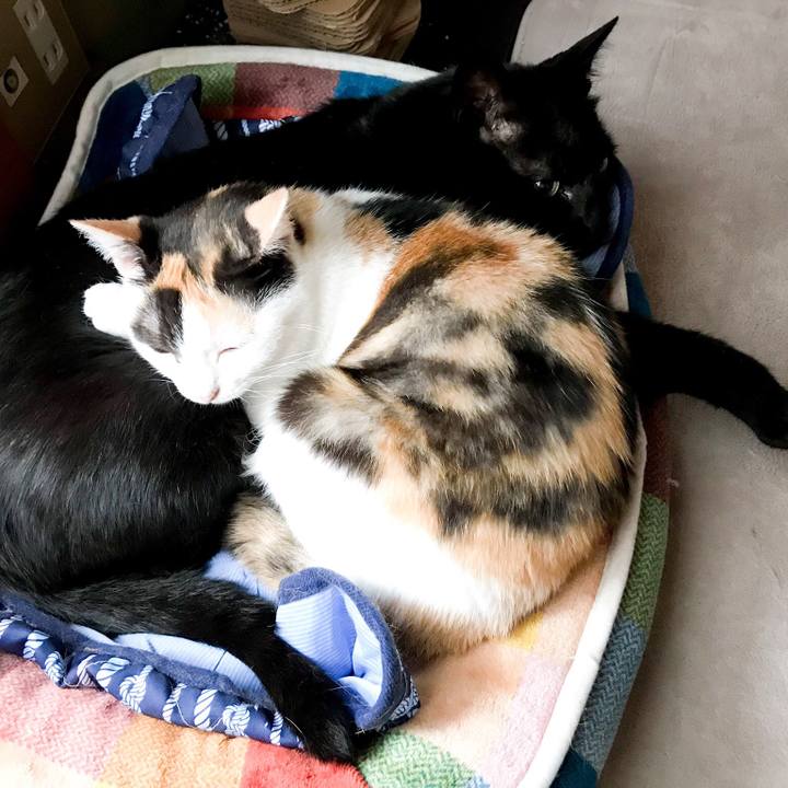 B174959e 89fd 4eb8 a354 c915272ace96 1531493236877