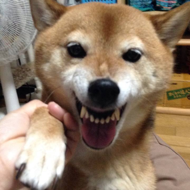 B1749929 8956 4da5 8c07 715032dd67b6 1531054570825