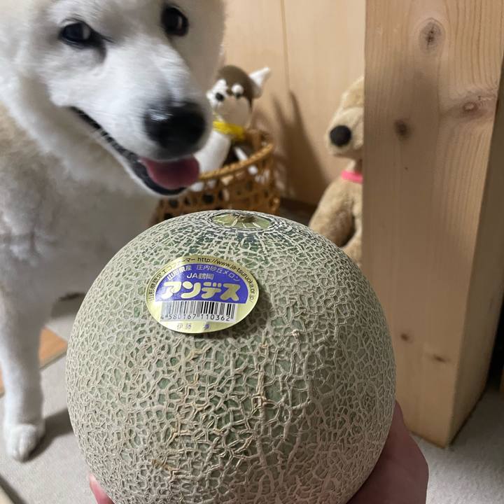 B174b217 7a19 4dcd 88ea cd0dcba1210a 1687959586379