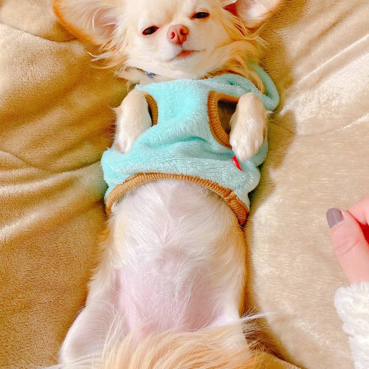 B17504ff b233 4fbe b735 cde09969ac9b 1639459275333