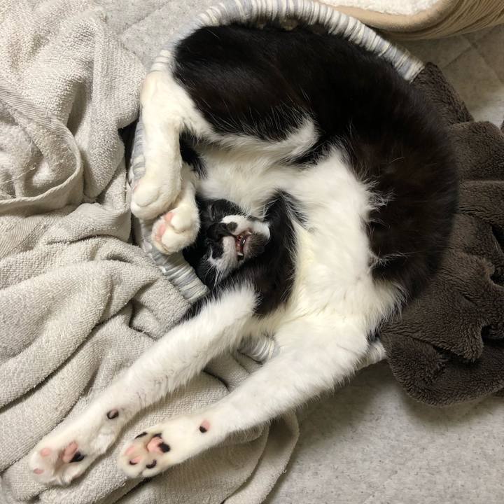 B17577f7 ec8c 4b4c 85d0 b69c1aa399df 1602861770582