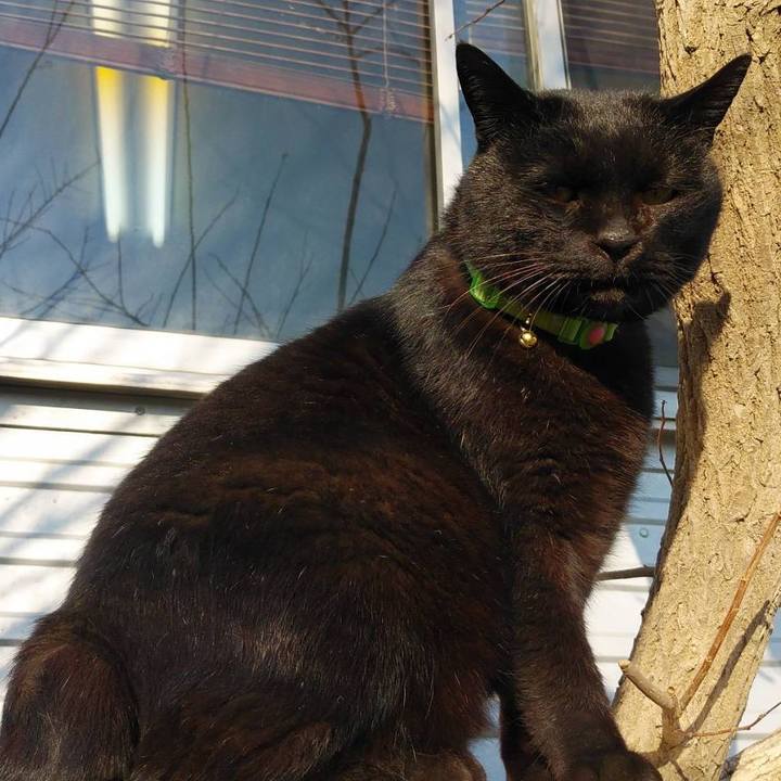 B175831b 3443 4fca 8e06 08287f5f7d6b 1578875340676