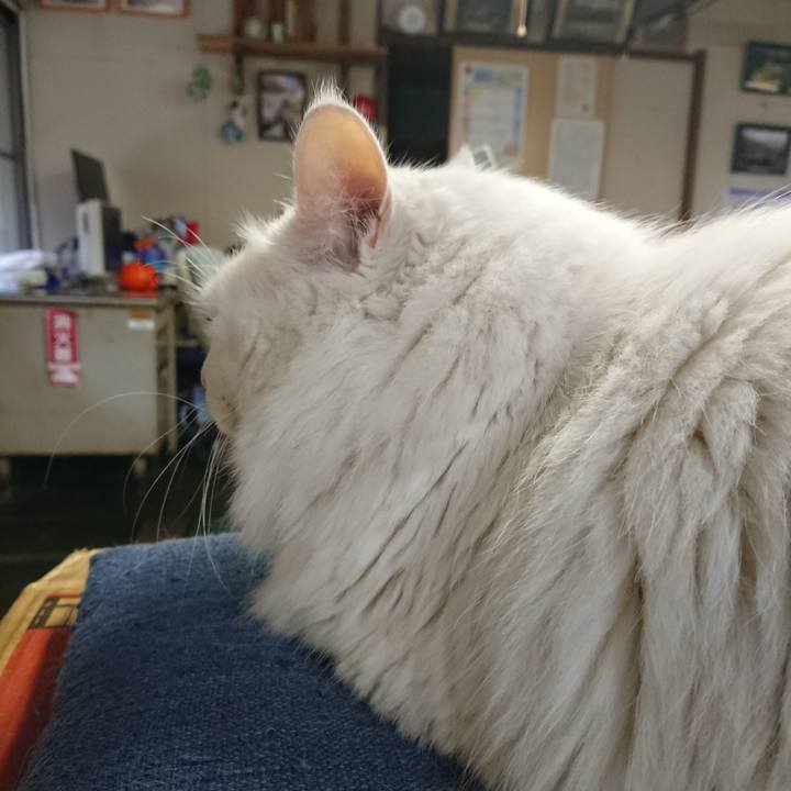 B1759e41 6c23 497e 9fd4 6779c97ccb33 1572391082870