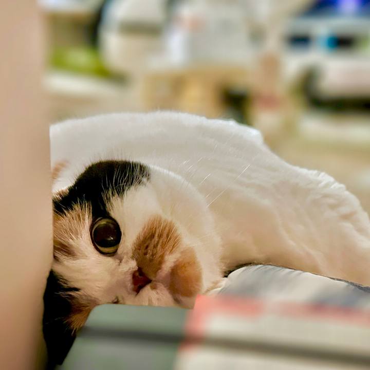 B175a292 80d4 4847 8aeb 964f7dc04427 1692628681968