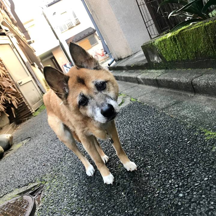 B175aa3c 2c78 46e9 b262 4a57f04f4919 1538086969790