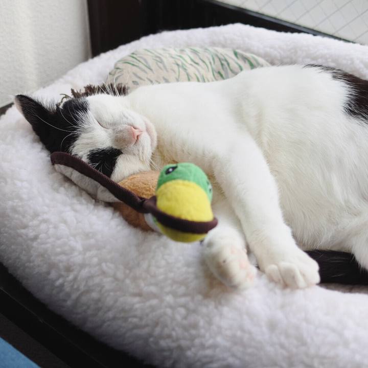 B175b035 a6e4 4c4f 8d7c 530c04ef0587 1519795036469