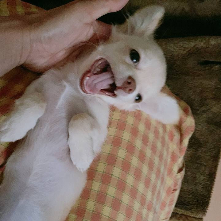 B175f6da f53e 4dec aa63 e0f5fe9cc04d 1590794577437