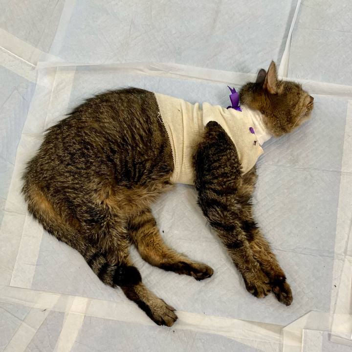 B1760c97 fe74 40a8 b3f4 86dfff95191d 1689133690103