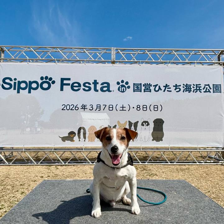 B17612c6 595a 4091 b03c e37e36e906af 1772879344130