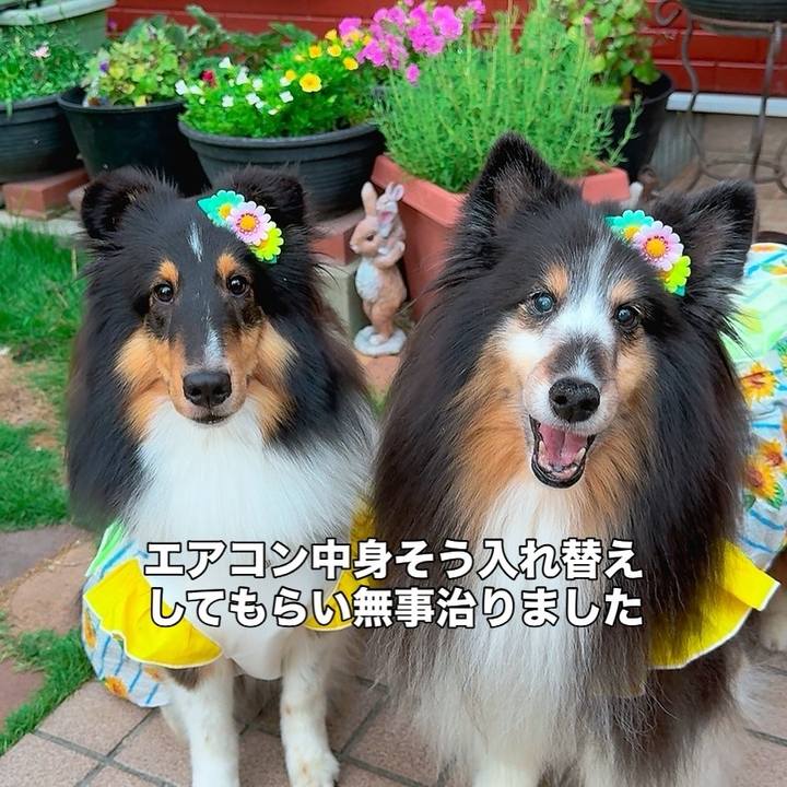 B17634e1 08e5 48b6 b80f 9496cef1c591 1753471739824