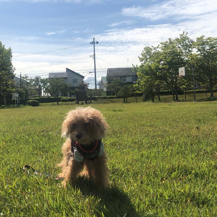 B17661e7 0169 47cc 9cab 73e19bac8b78 1696823630073