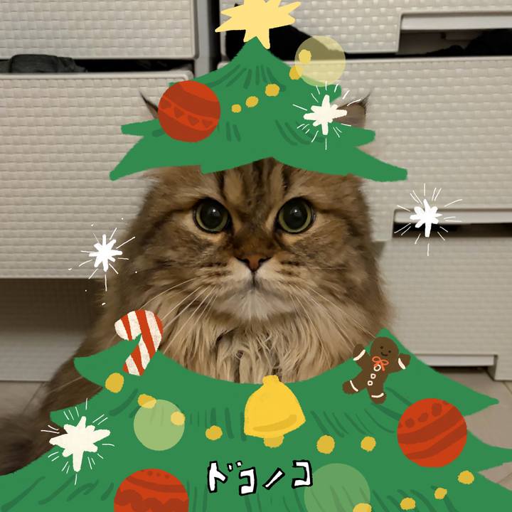 B176a01f 576a 45a7 942c f4a4cf3094e4 1761609706584