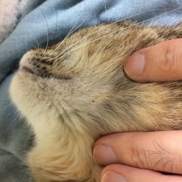 B176a33d 8202 469d bcf7 cc7e1a62b497 1593509755398