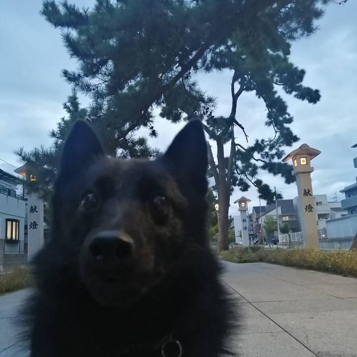 B176e330 6900 443e a002 f7434dc1f7bc 1633036228599